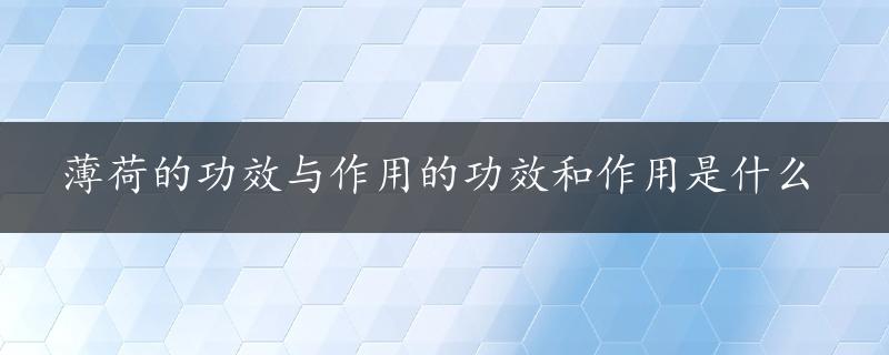 薄荷的功效与作用的功效和作用是什么