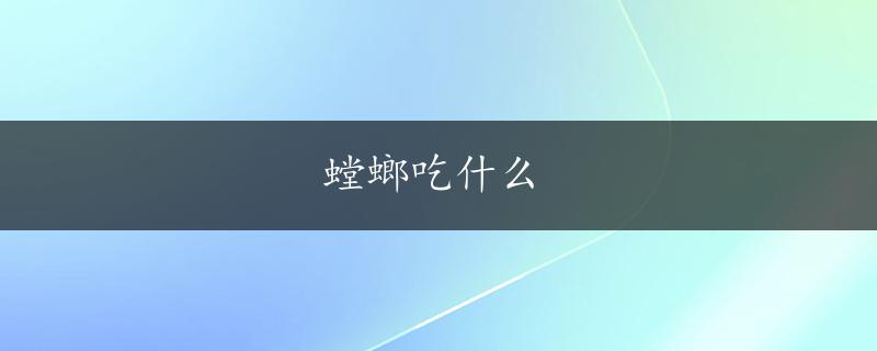 螳螂吃什么