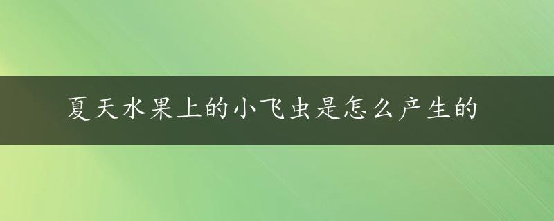 夏天水果上的小飞虫是怎么产生的