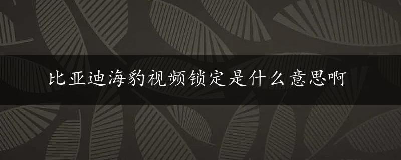 比亚迪海豹视频锁定是什么意思啊