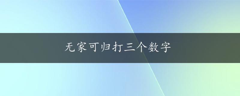 无家可归打三个数字