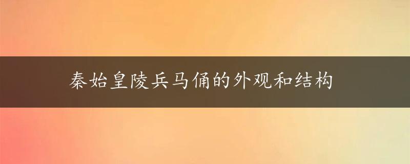 秦始皇陵兵马俑的外观和结构