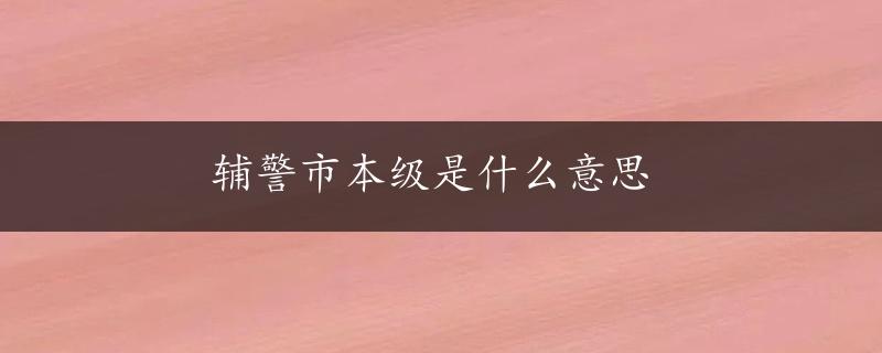 辅警市本级是什么意思