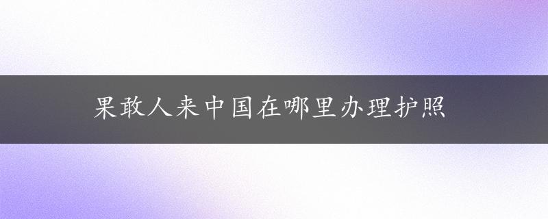 果敢人来中国在哪里办理护照