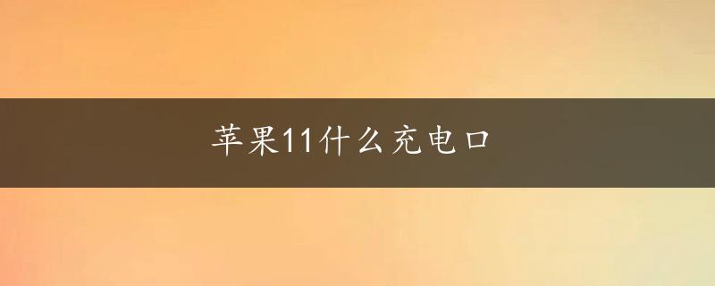 苹果11什么充电口