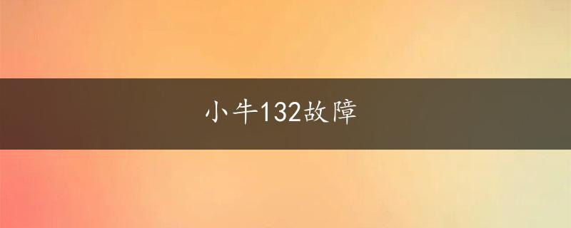 小牛132故障