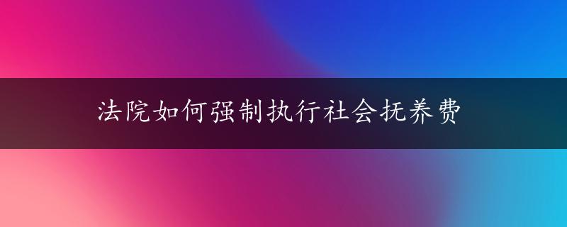 法院如何强制执行社会抚养费