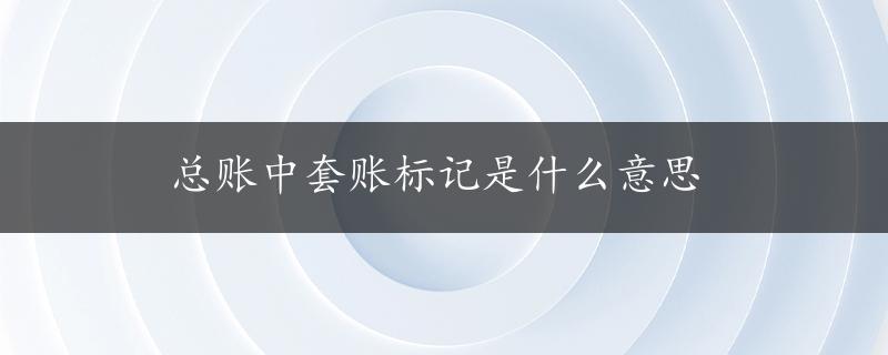 总账中套账标记是什么意思