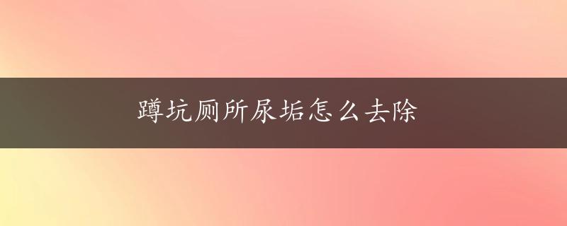 蹲坑厕所尿垢怎么去除