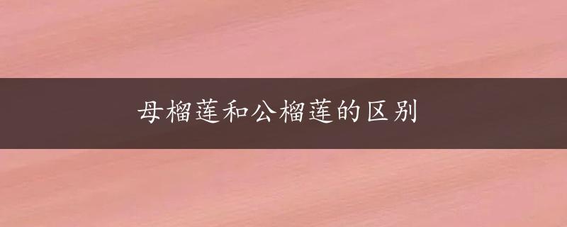 母榴莲和公榴莲的区别