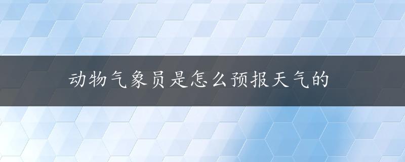 动物气象员是怎么预报天气的