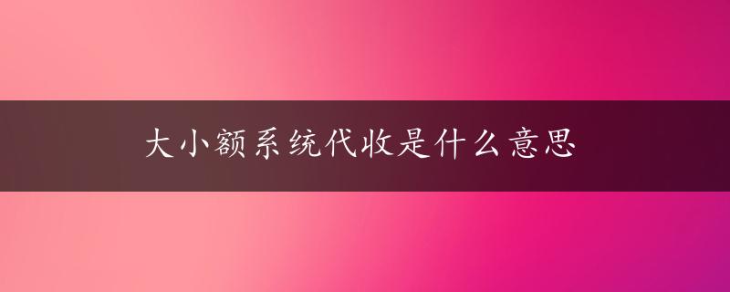 大小额系统代收是什么意思