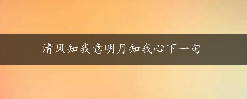 清风知我意明月知我心下一句