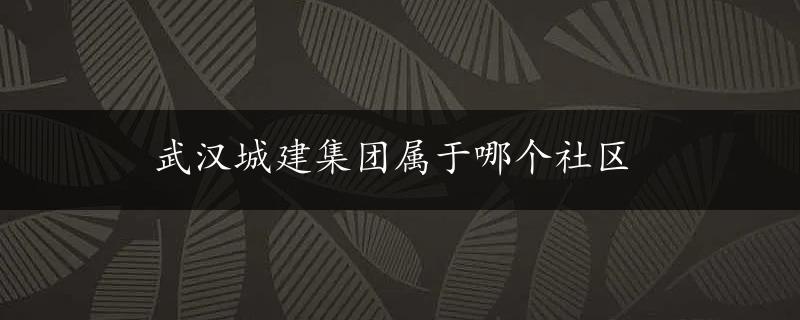 武汉城建集团属于哪个社区