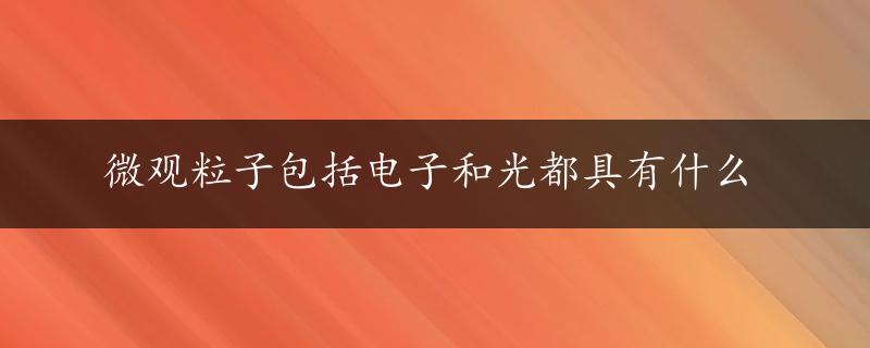 微观粒子包括电子和光都具有什么