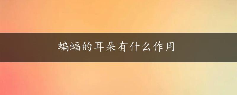 蝙蝠的耳朵有什么作用