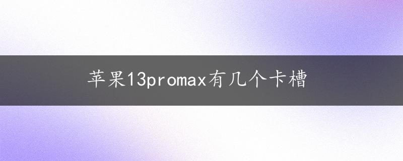 苹果13promax有几个卡槽