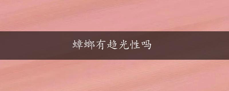 蟑螂有趋光性吗