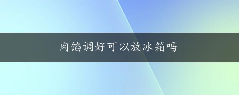 肉馅调好可以放冰箱吗