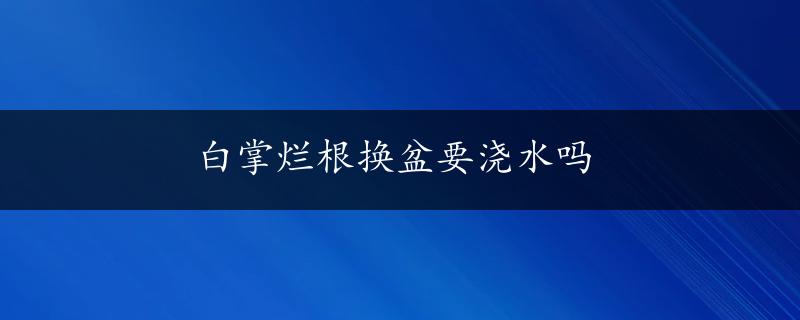 白掌烂根换盆要浇水吗