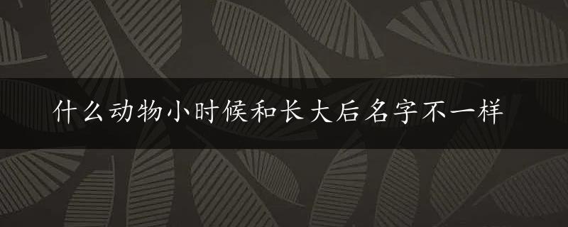 什么动物小时候和长大后名字不一样