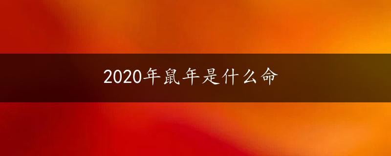 2020年鼠年是什么命