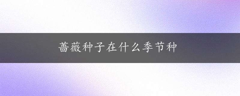 蔷薇种子在什么季节种