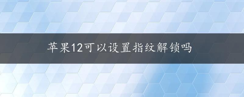 苹果12可以设置指纹解锁吗