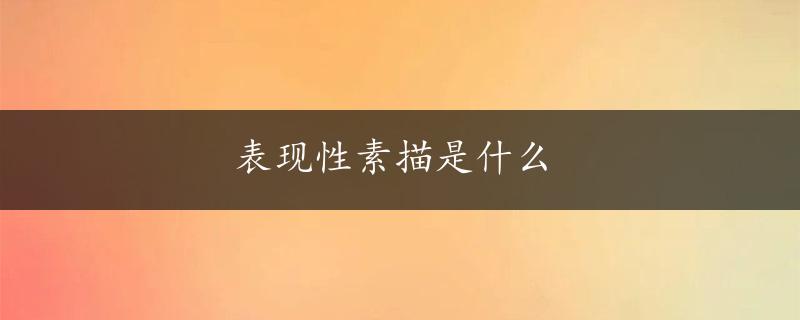 表现性素描是什么