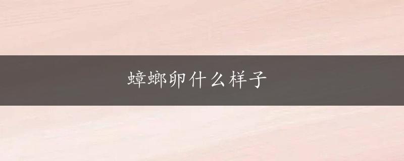 蟑螂卵什么样子