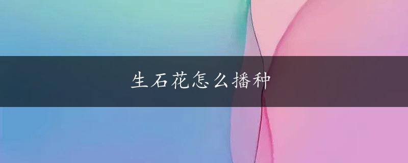 生石花怎么播种