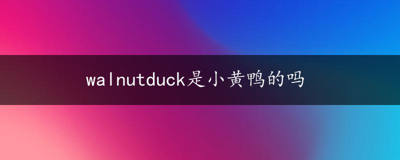 walnutduck是小黄鸭的吗