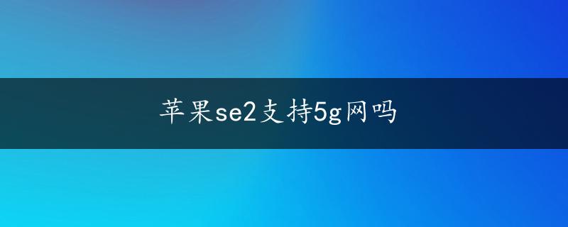 苹果se2支持5g网吗