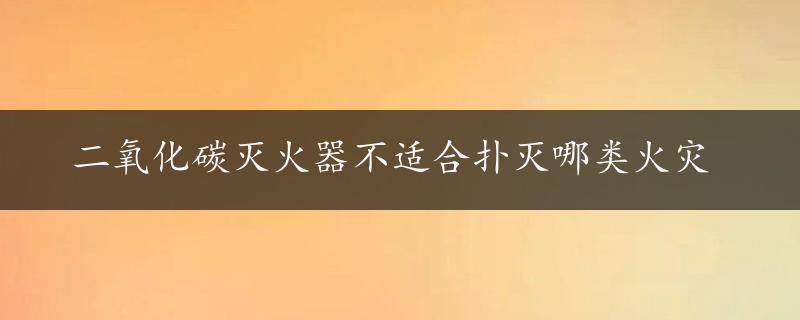 二氧化碳灭火器不适合扑灭哪类火灾