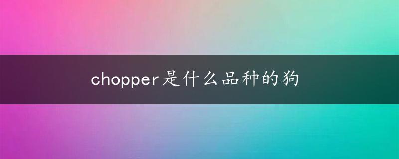 chopper是什么品种的狗