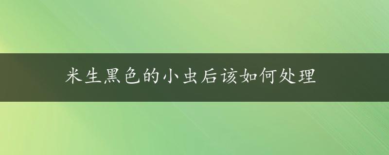 米生黑色的小虫后该如何处理