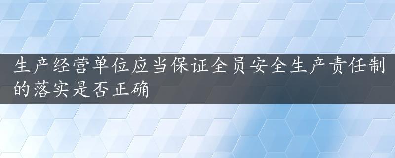 生产经营单位应当保证全员安全生产责任制的落实是否正确