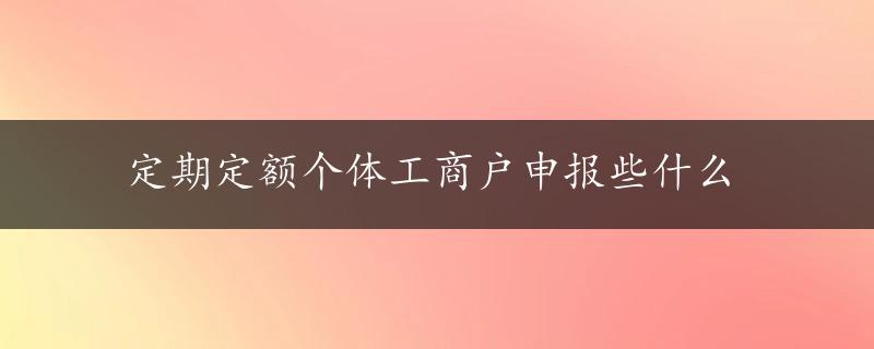 定期定额个体工商户申报些什么