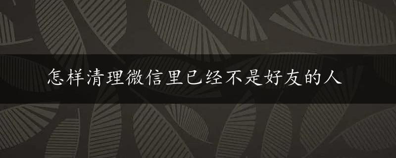 怎样清理微信里已经不是好友的人