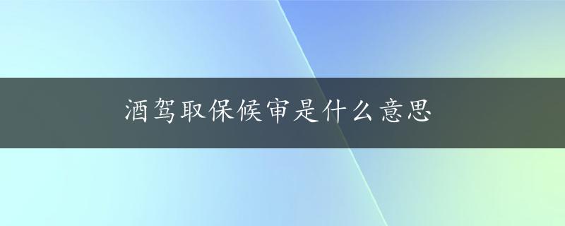 酒驾取保候审是什么意思