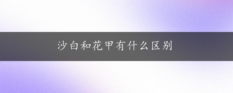 沙白和花甲有什么区别