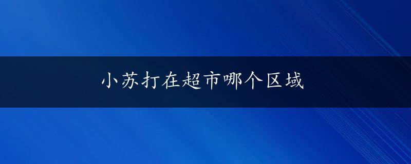 小苏打在超市哪个区域