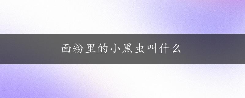 面粉里的小黑虫叫什么