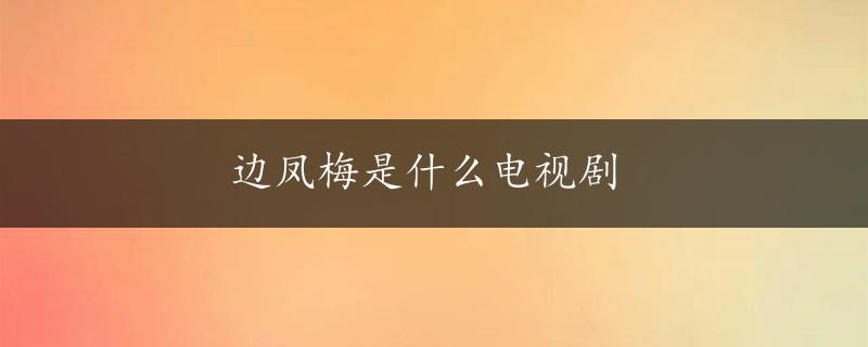 边凤梅是什么电视剧