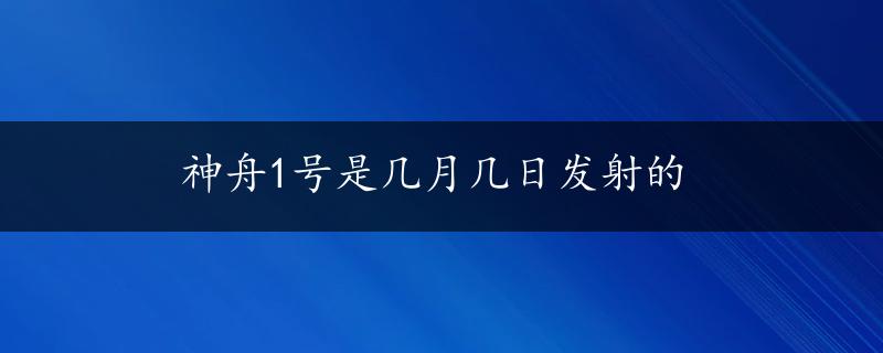 神舟1号是几月几日发射的