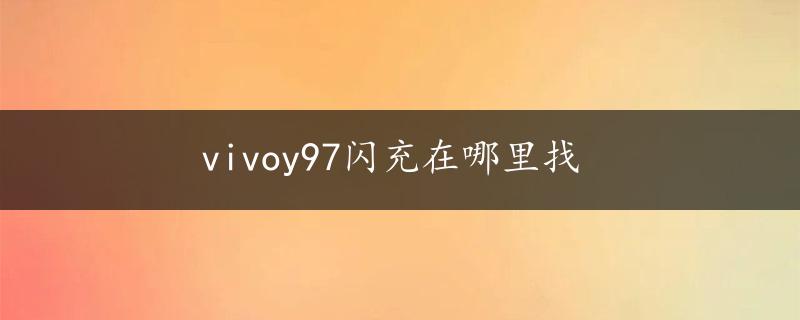 vivoy97闪充在哪里找