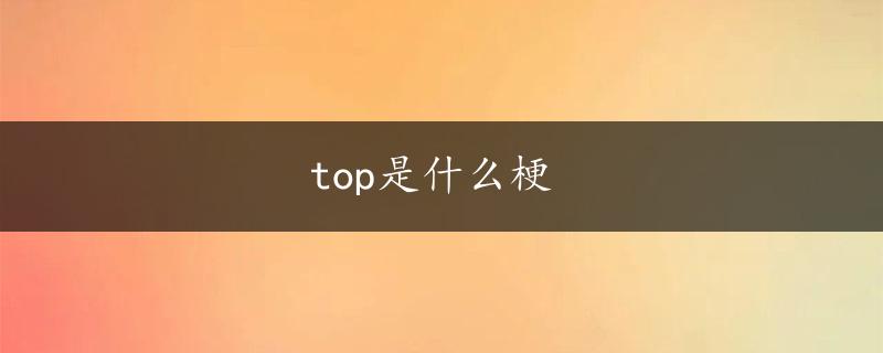 top是什么梗