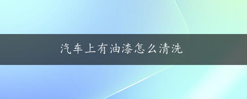 汽车上有油漆怎么清洗