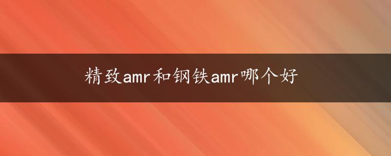 精致amr和钢铁amr哪个好