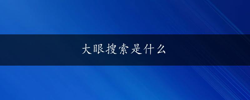 大眼搜索是什么